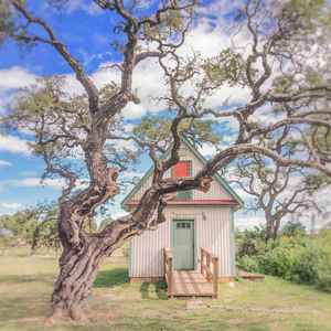 물들여버린 형태