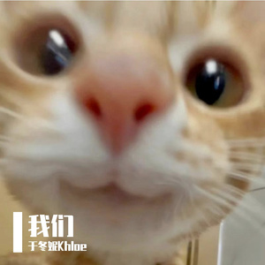 失语者（cover 蔡健雅）