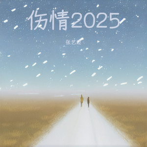 伤情2025 (DJ阿能版伴奏)
