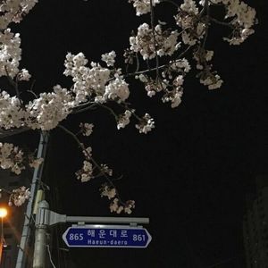 新目标设定的憧憬