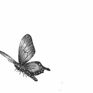 不后退（prod.by survival）