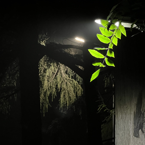 从大名城到光华路西