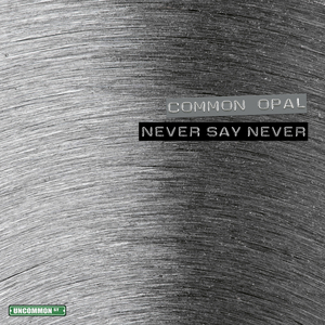 Never Say Never
