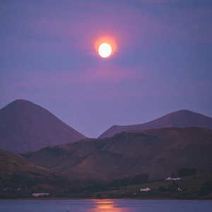 我的美丽（Remix）