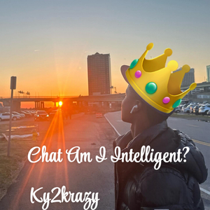 N.M.L.S. 2 (OneMore)