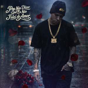 Nunca Mais Dou Flores