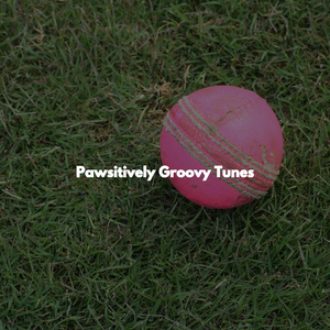 Superlative December Mornings