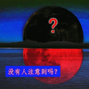 【31平均律】异月