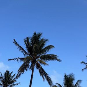 MIAMI