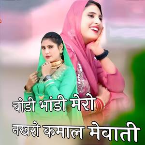 चोडी भांडी मेरो नखरो कमाल