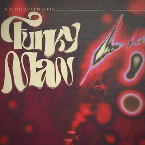 Funky Man