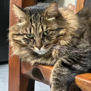 猜猜我有多爱你