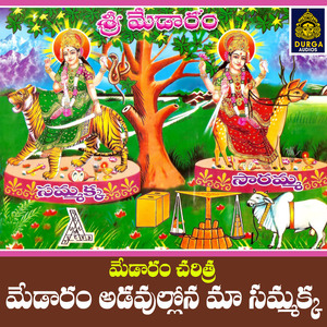 Medaram Adavullon ma Sammakka