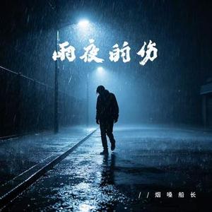 雨夜的伤 (DJ阿尼版)