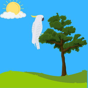 Burung Kakatua Jambul Kuning