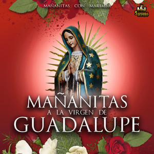 La Guadalupana