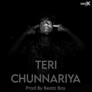 Teri Chunnariya