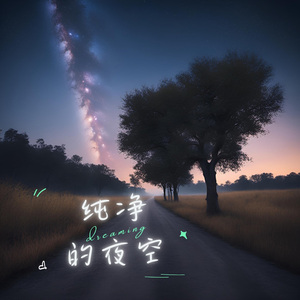 夜之泉（钢琴）