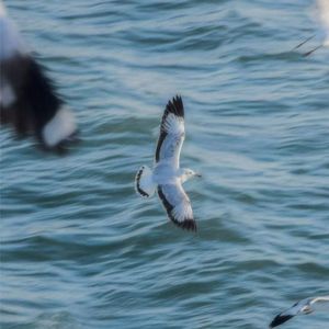 从你的全世界路过&Guiter