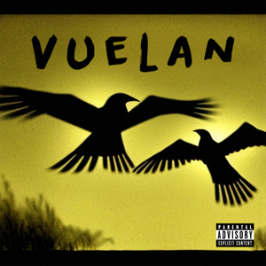 Vuelan