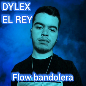Flow Bandolera
