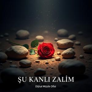 Şu Kanlı Zalim