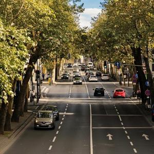 Don't need a nevigation