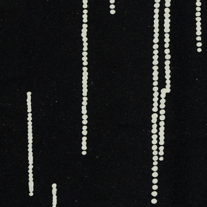 Wary (feat. 김아일)