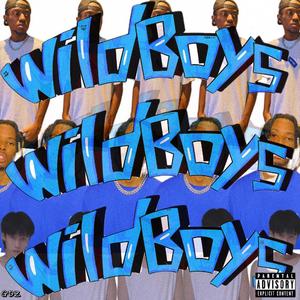 Wild Boys