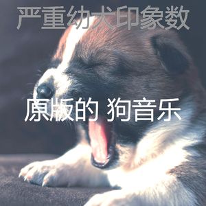 抚慰的训练犬回忆