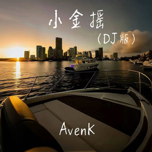 小金摇（DJ版）