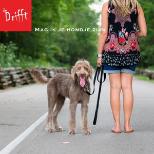 Mag ik je hondje zijn?