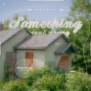 Something Went Wrong (Original Mix)