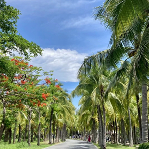 错题本里的夏天.mp3