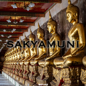 Free Afro Drill x 贝贝 Type Beat “Sakyamuni”