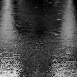 Looking out the Windows