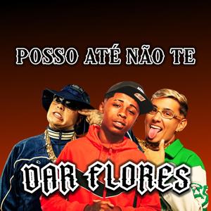 POSSO ATÉ NÃO TE DAR FLORES (Remix)