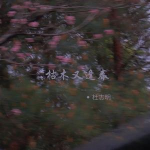 命运是给你选择