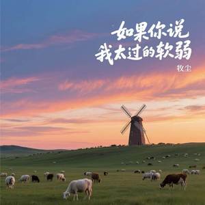 如果你说我太过的软弱
