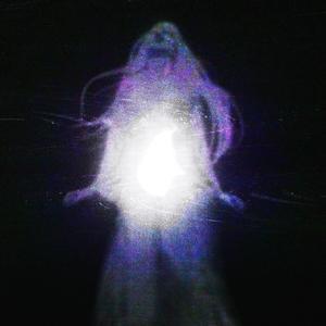 Ceaseless (feat. trance)