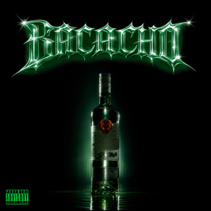 Bacacho
