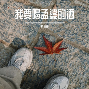 我要喝孟婆的酒