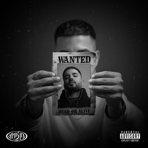 אופס... ברח לי הפוררי