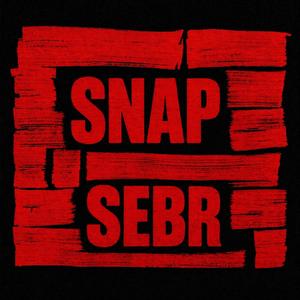 Snap (slowed & reverb)