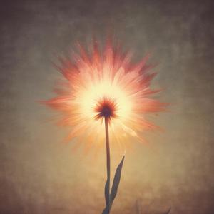 小小善举，大大奇迹