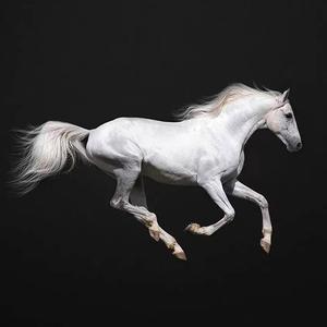 日复一日Prod By Red killer