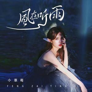 风在听雨
