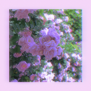 夏休みはないよ