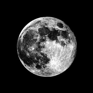 Dynast - 飞（翻唱）