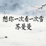 想你一次看一次雪